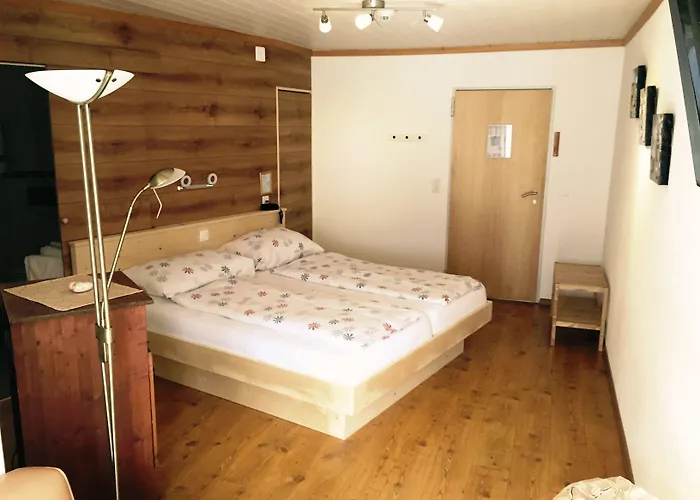 Adler Hotel Kandersteg