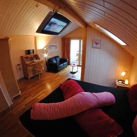 Hotel Adler Ag Kandersteg