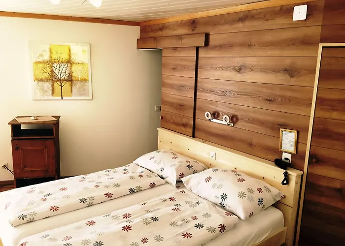 Adler Ag Hotel 3*