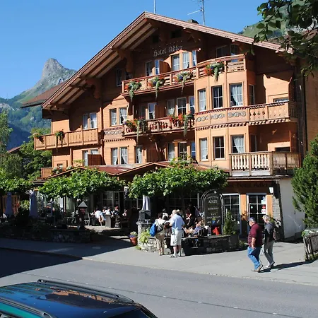 Adler Ag Hotel