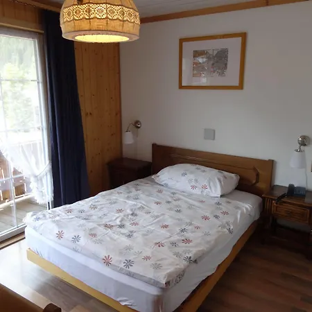 Hotel Adler Ag