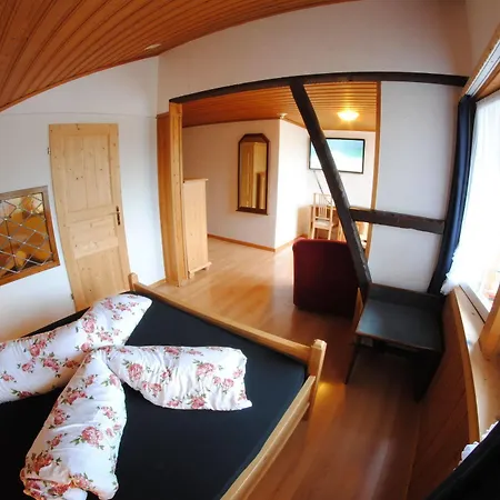 Hotel Adler Ag