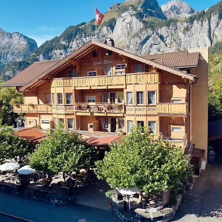 Hotel Adler Ag